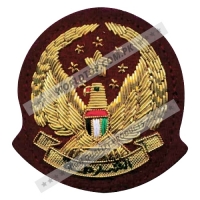 Military Insignias